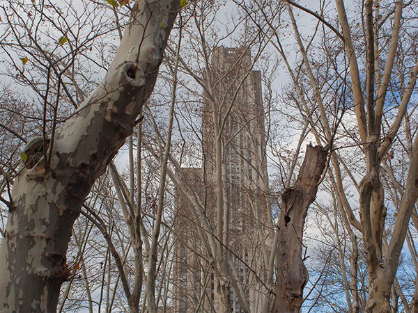 Photo of the Cathedral of Learning in Pittsburgh PA